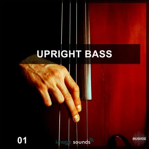 Steinberg Upright Bass 1 VSTSOUND