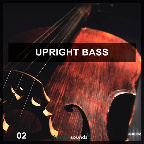 Steinberg Upright Bass 2 VSTSOUND