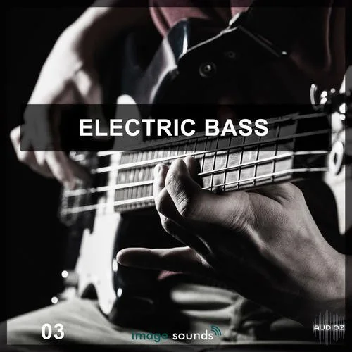 Steinberg Electric Bass 3 VSTSOUND