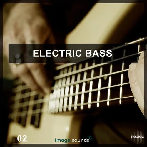 Steinberg Electric Bass 2 VSTSOUND