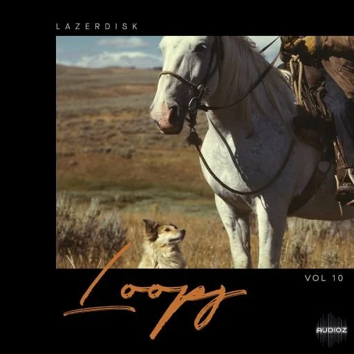 Lazerdisk Loops Vol. 10 WAV