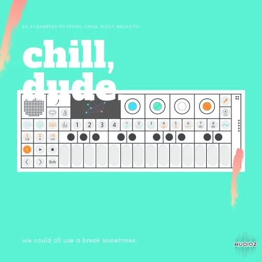Lazerdisk Chill, Dude. WAV
