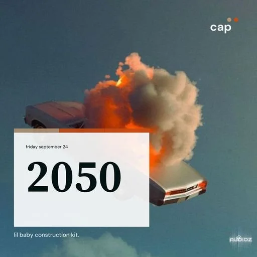 Lazerdisk 2050 WAV