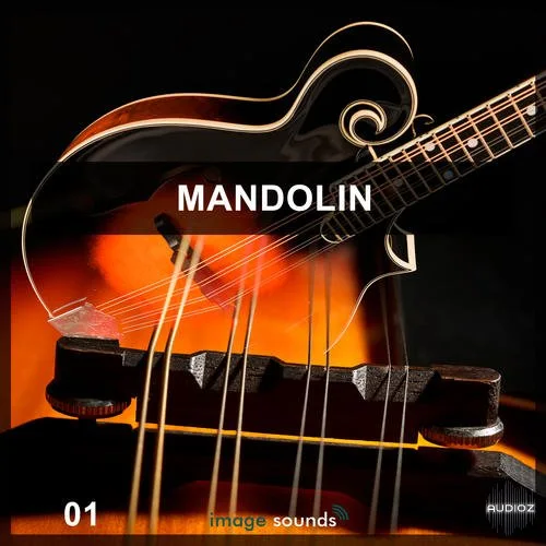 Steinberg Mandolin VSTSOUND