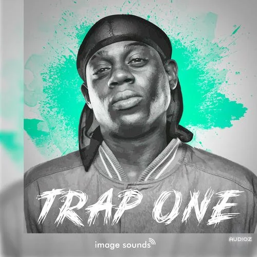 Steinberg Trap One 1 VSTSOUND