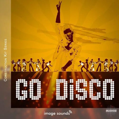 Steinberg Go Disco VSTSOUND