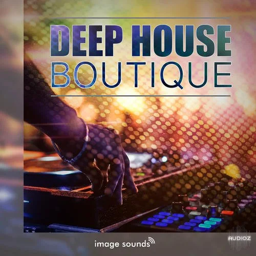 Steinberg Deephouse Boutique 1 VSTSOUND