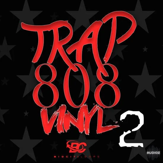 Big Citi Loops Trap 808 Vinyl 2 WAV-DECiBEL