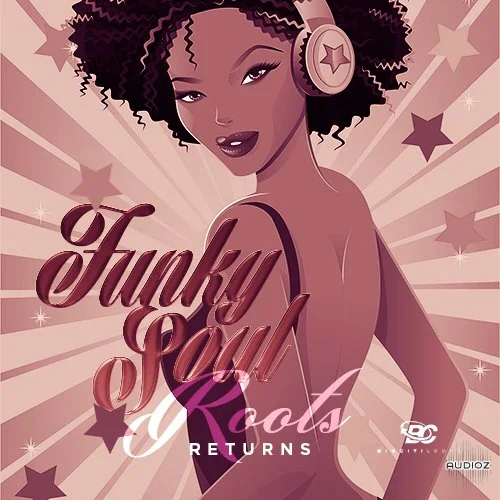 Big Citi Loops Funky Soul Roots Returns 1 WAV-DECiBEL