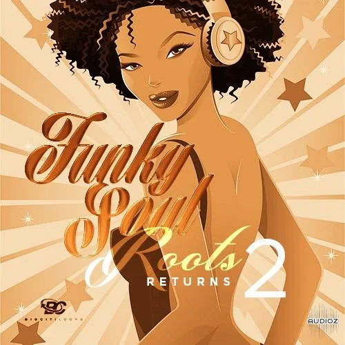 Big Citi Loops Funky Soul Roots Returns 2 WAV-DECiBEL