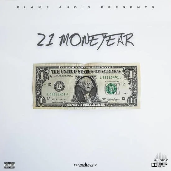 Flame Audio 21 MoneYear WAV MIDI-DECiBEL