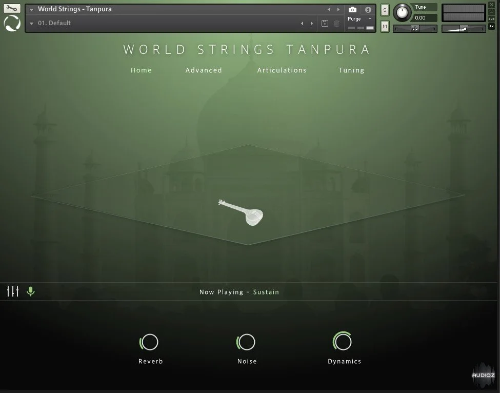 Evolution Series World Strings Tanpura v1.0.0 KONTAKT