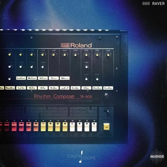 Touch Loops 808 Raver WAV-DECiBEL