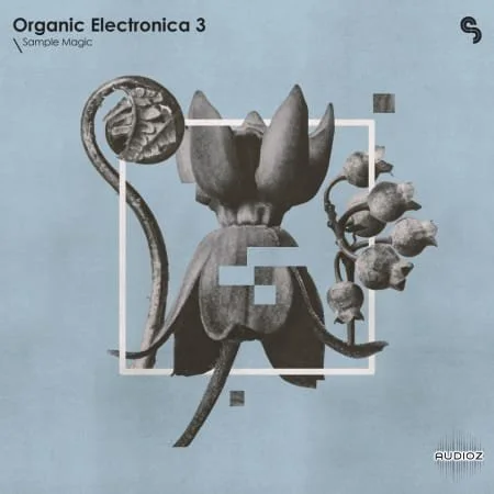 Sample Magic Organic Electronica 3 MULTiFORMAT-FANTASTiC