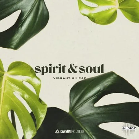 Capsun ProAudio Spirit and Soul Vibrant UK Hip Hop WAV-FANTASTiC