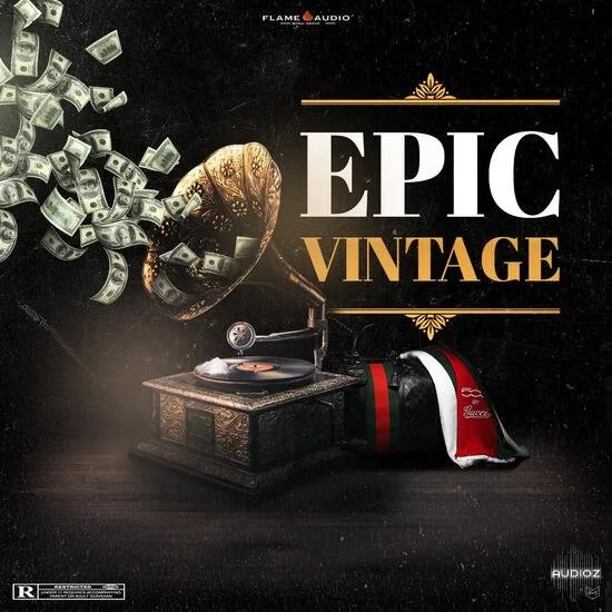 Flame Audio Epic Vintage WAV-DECiBEL