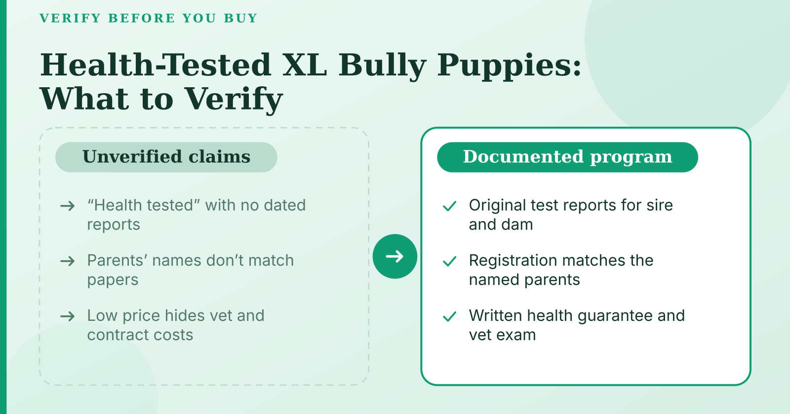 Health-Tested XL Bully Puppies from Mississippi's Trusted Breeder