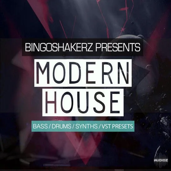 Bingoshakerz Modern House MULTiFORMAT-DECiBEL