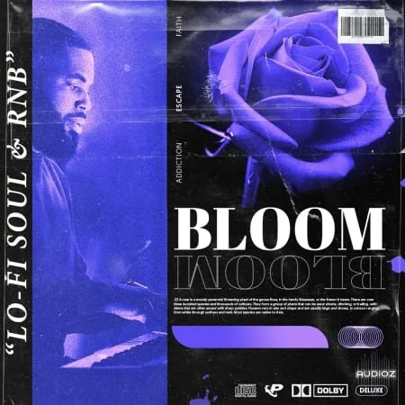 Prime Loops BLOOM RnB Soul Keys WAV-FLARE