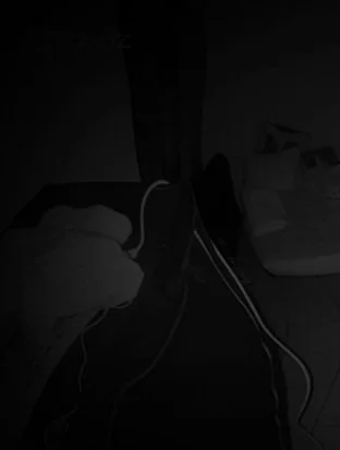 Buried Sounds Dark Dubstep Sample Pack WAV