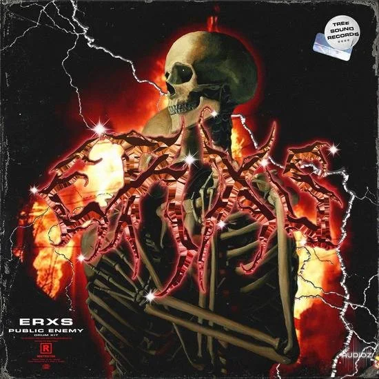 Erxs Public Enemy Drum Kit WAV MIDI-DECiBEL