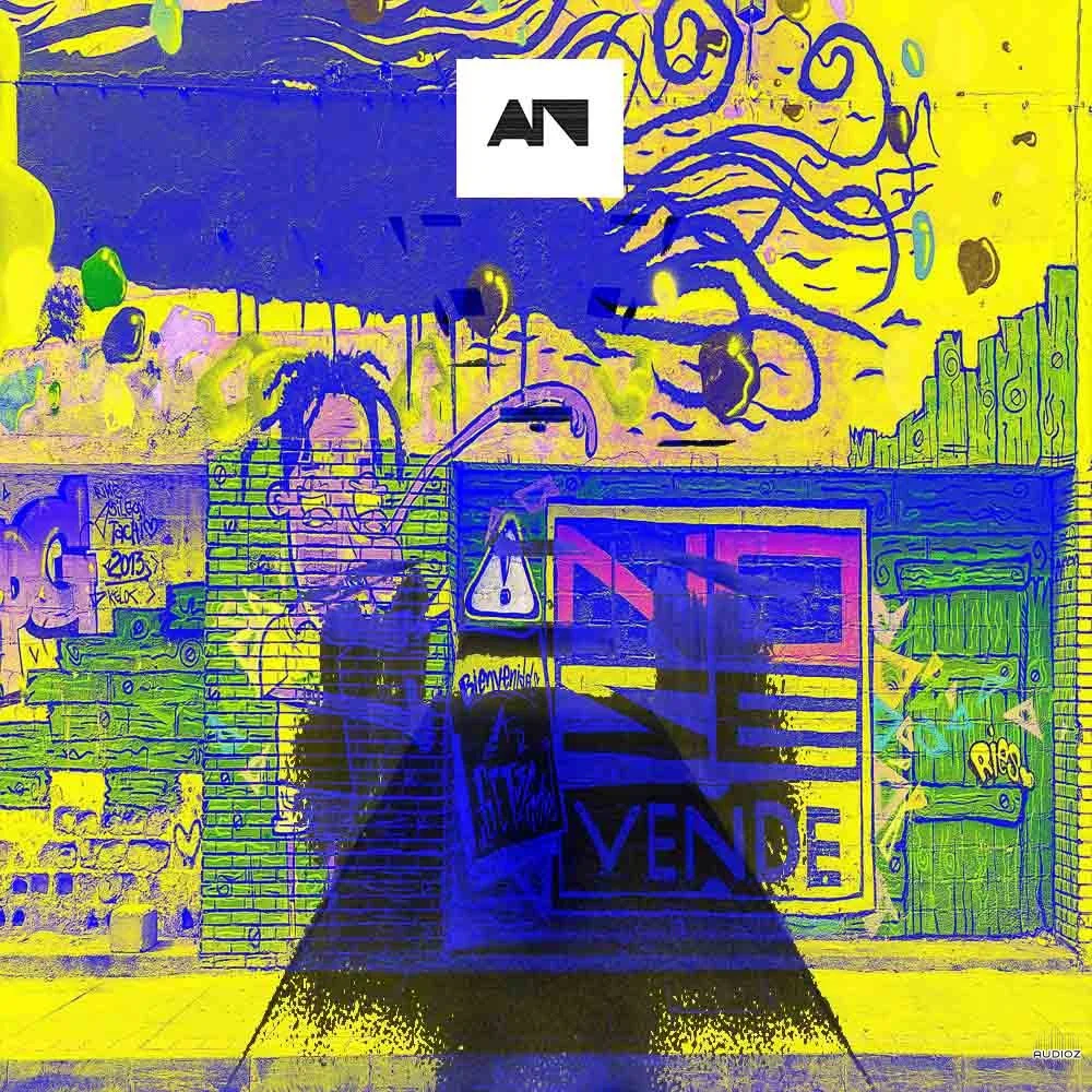 About Noise Raw Techno WAV