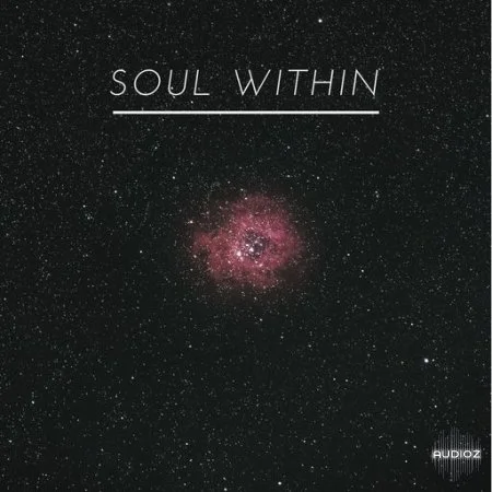 Tariq Ali Soul Within WAV