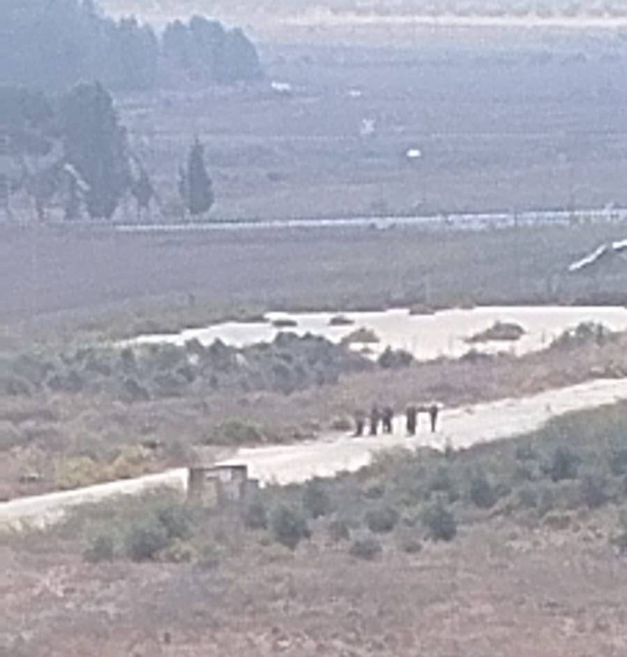صورة الخبر
