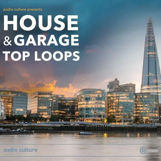 Audio Culture House and Garage Top Loops WAV-DECiBEL