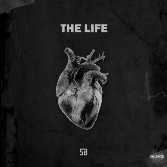 Shobeats The Life MULTiFORMAT-DECiBEL