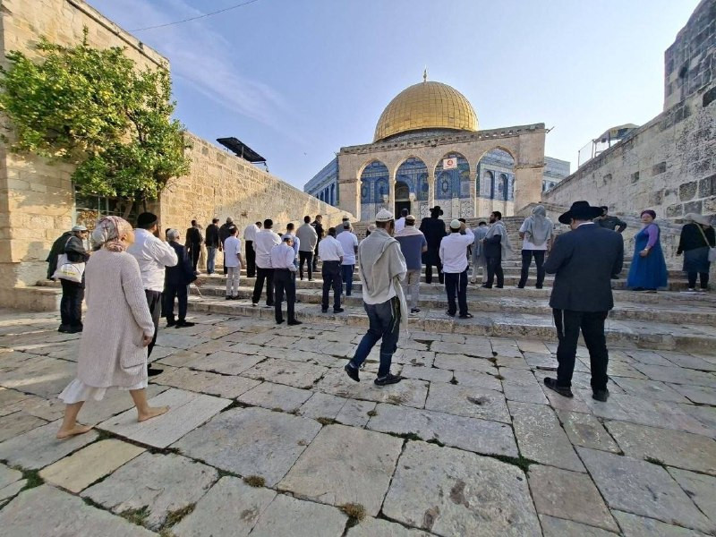 صورة الخبر