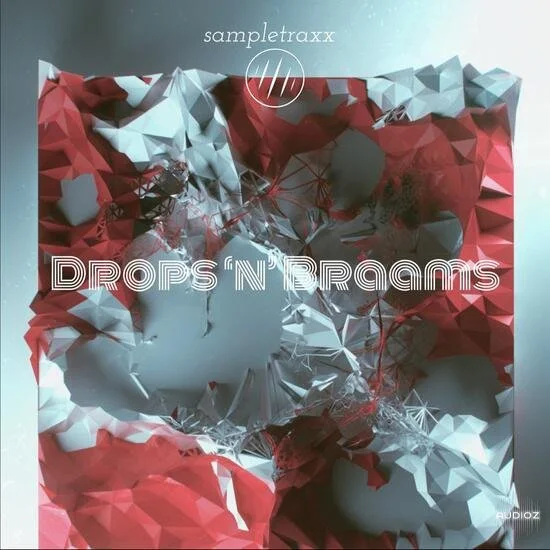 SampleTraxx DROPS n BRAAMS WAV-DECiBEL