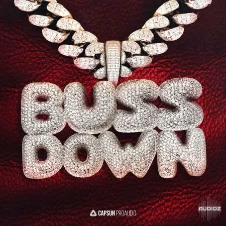 Capsun ProAudio Buss Down Drill & Trap WAV