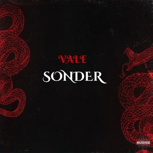 Loops 4 Producers Sonder WAV
