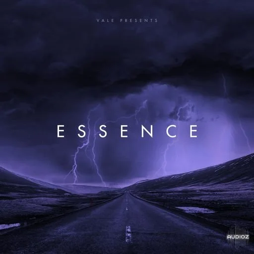 Loops 4 Producers Essence WAV