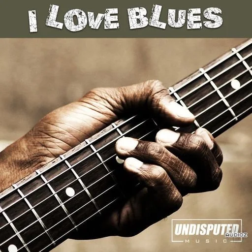 Loops 4 Producers I Love Blues WAV