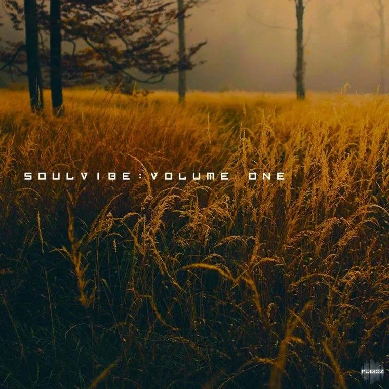 KAN Samples Soulvibe Vol.1 WAV