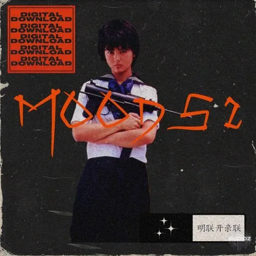 Loops 4 Producers Moods 2 WAV