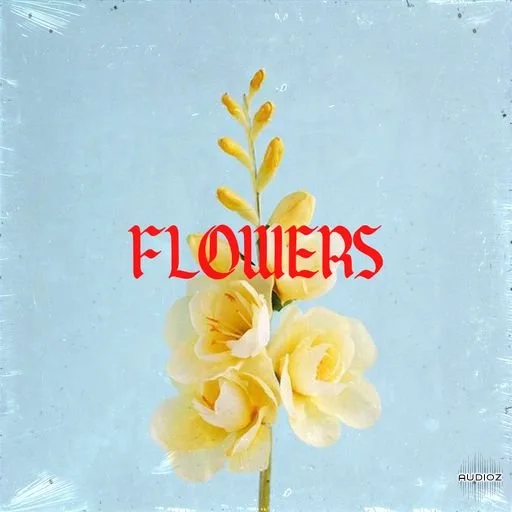 Loops 4 Producers !Flowers WAV