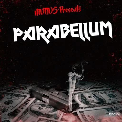 Loops 4 Producers Parabellum WAV