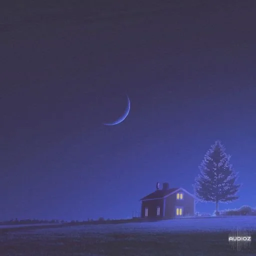 Rightsify Beacon Lofi 嘻哈和灵魂 WAV