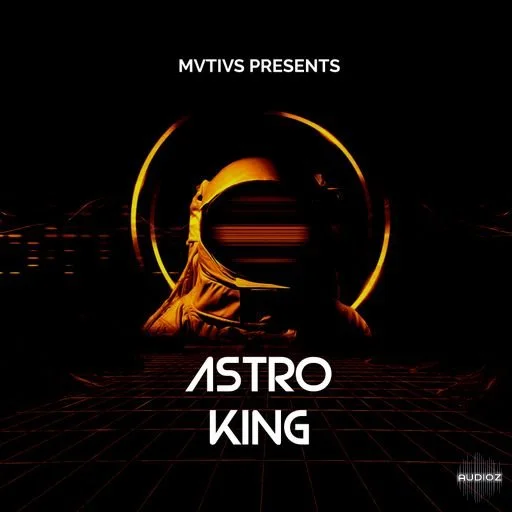 Loops 4 Producers Astro King WAV