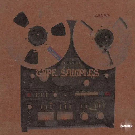 Loops 4 Producers Tape Samples WAV