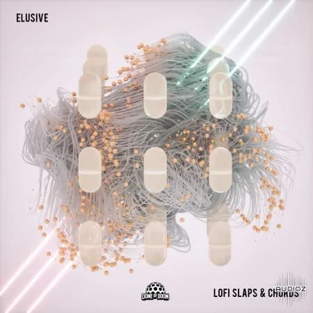 Elusive - Lofi Slaps & Chords WAV