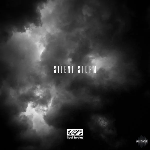 Soul Surplus Silent Storm WAV-DECiBEL