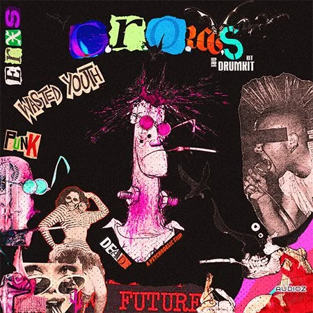Erxs C.R.O.W.S. Drum Kit WAV MiDi