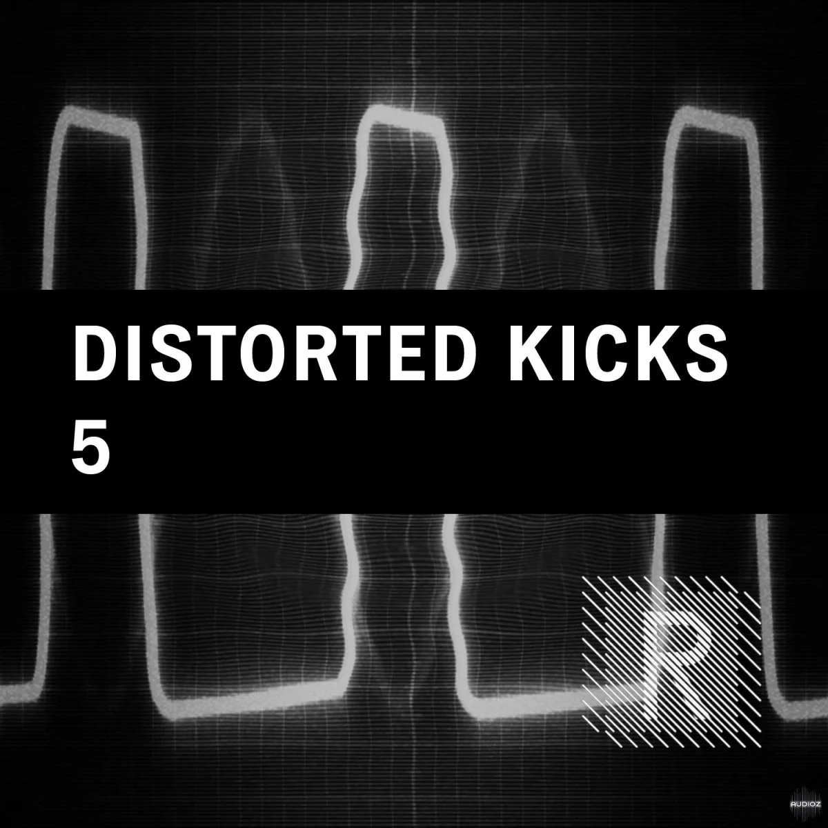 Riemann Kollektion Riemann Analog Distorted Kickdrum Loops 5 (Bandcamp Exclusive) WAV