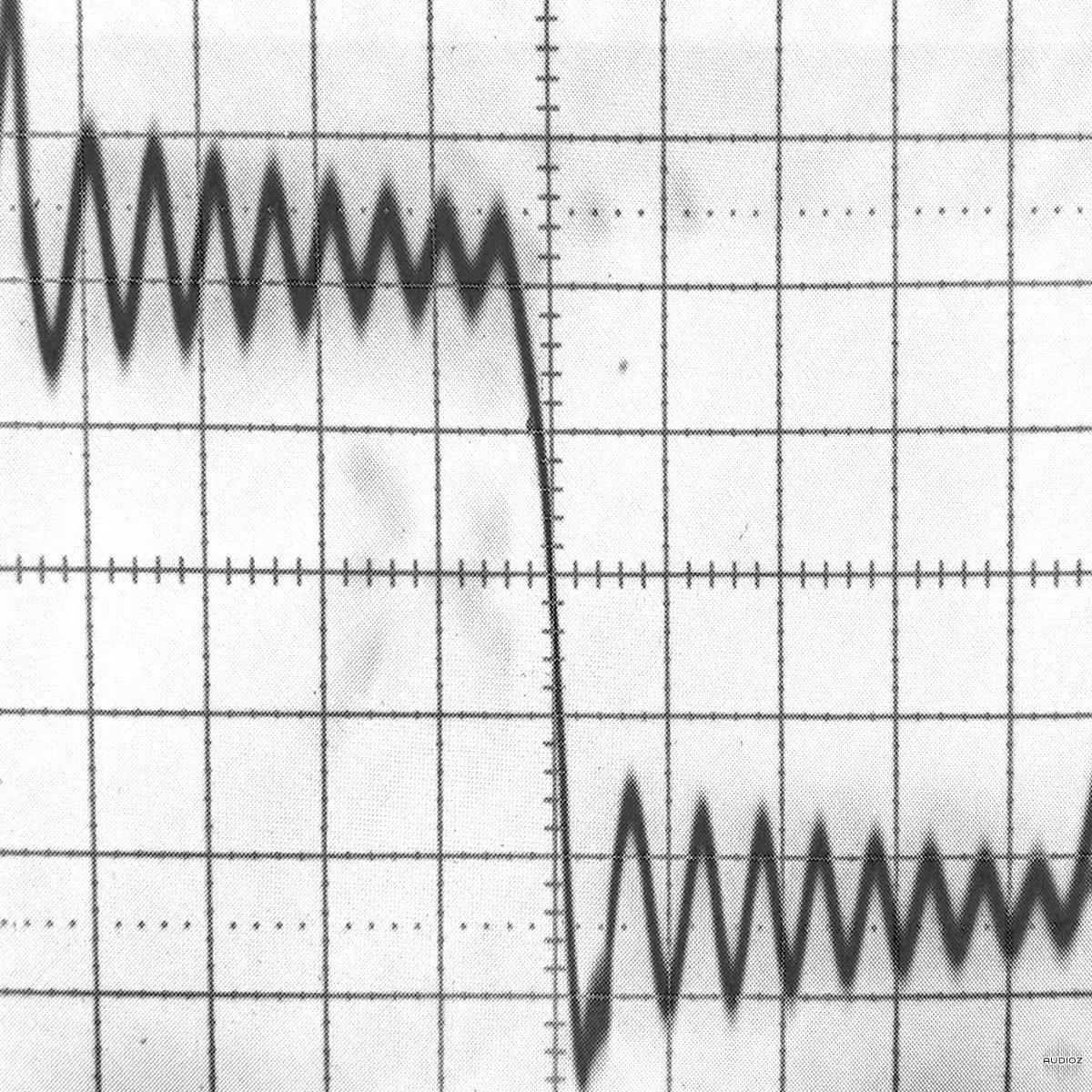 Riemann Kollektion Riemann Analog Distorted Kickdrum Loops 4 (Bandcamp Exclusive) WAV