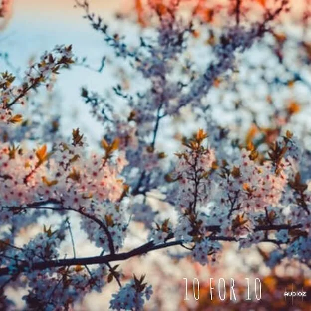 Voidproducedit 10 For 10 Trap Loops Vol.1 WAV ASD