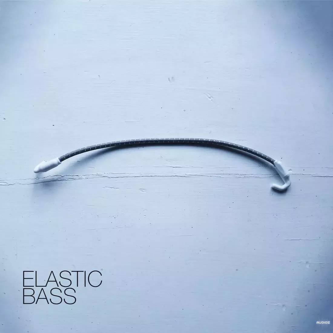 David Hilowitz Elastic Bass [Patreon Exclusive] [Decent Sampler] KONTAKT-FANTASTiC